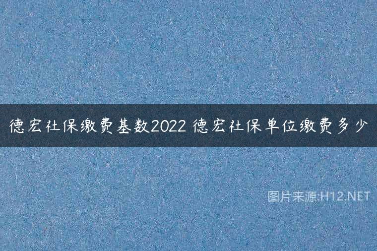 德宏社保缴费基数2022 德宏社保单位缴费多少