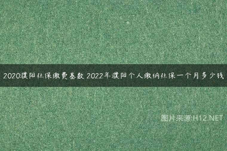 2020濮阳社保缴费基数 2022年濮阳个人缴纳社保一个月多少钱