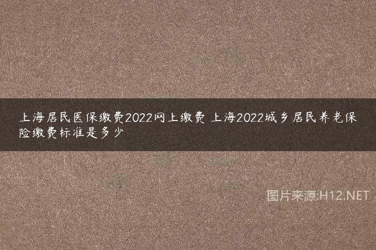 上海居民医保缴费2022网上缴费 上海2022城乡居民养老保险缴费标准是多少