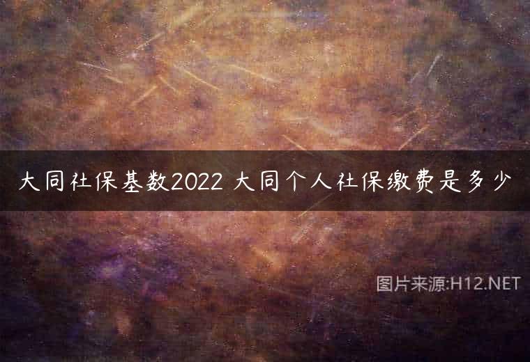 大同社保基数2022 大同个人社保缴费是多少
