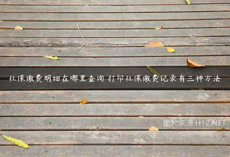 社保缴费明细在哪里查询 打印社保缴费记录有三种方法