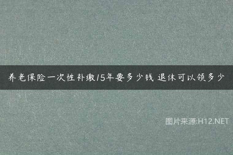 养老保险一次性补缴15年要多少钱 退休可以领多少