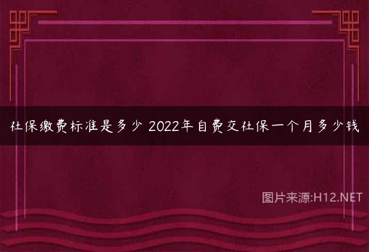 社保缴费标准是多少 2022年自费交社保一个月多少钱