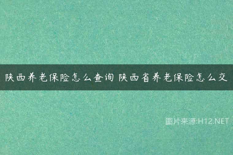陕西养老保险怎么查询 陕西省养老保险怎么交