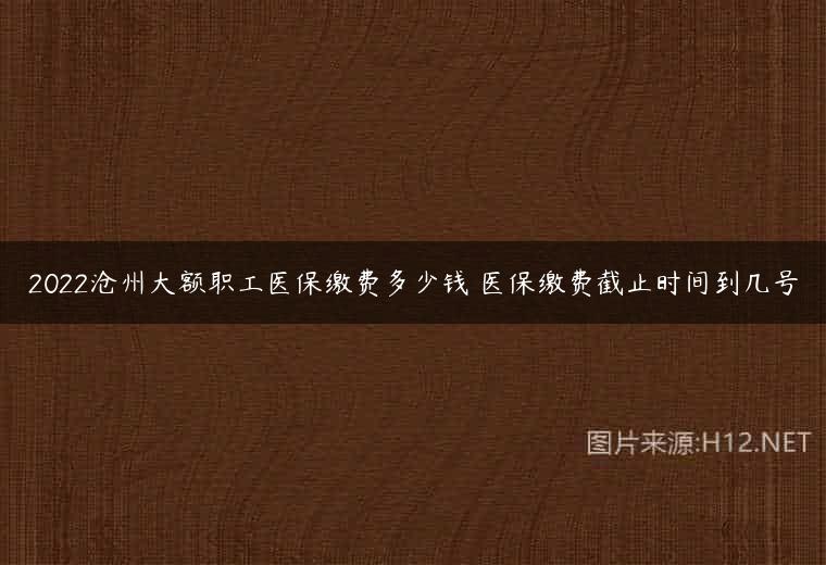 2022沧州大额职工医保缴费多少钱 医保缴费截止时间到几号