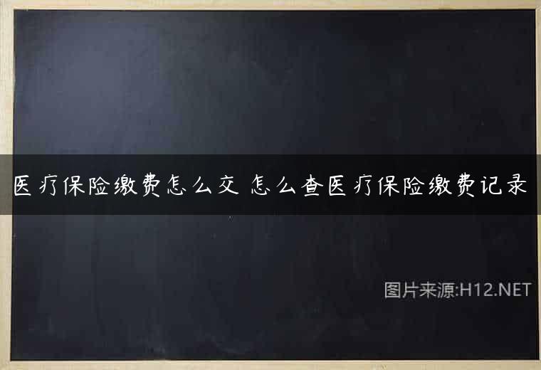 医疗保险缴费怎么交 怎么查医疗保险缴费记录