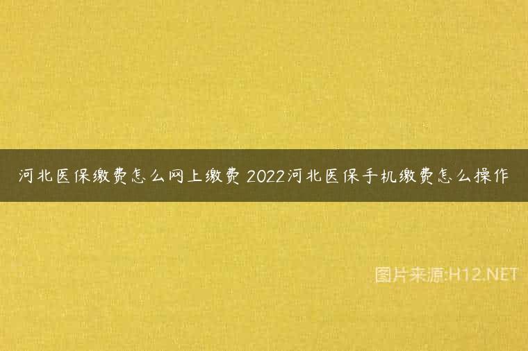 河北医保缴费怎么网上缴费 2022河北医保手机缴费怎么操作