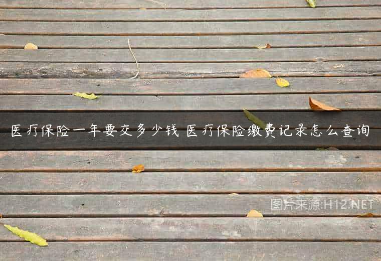 医疗保险一年要交多少钱 医疗保险缴费记录怎么查询