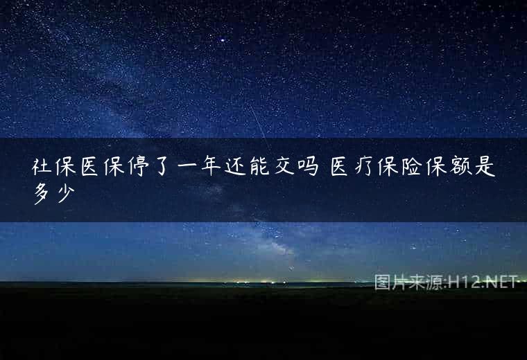 社保医保停了一年还能交吗 医疗保险保额是多少