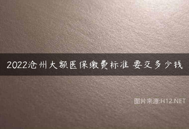2022沧州大额医保缴费标准 要交多少钱