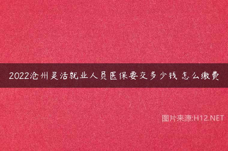 2022沧州灵活就业人员医保要交多少钱 怎么缴费