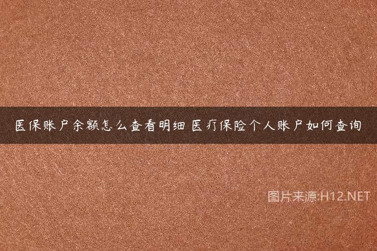 医保账户余额怎么查看明细 医疗保险个人账户如何查询