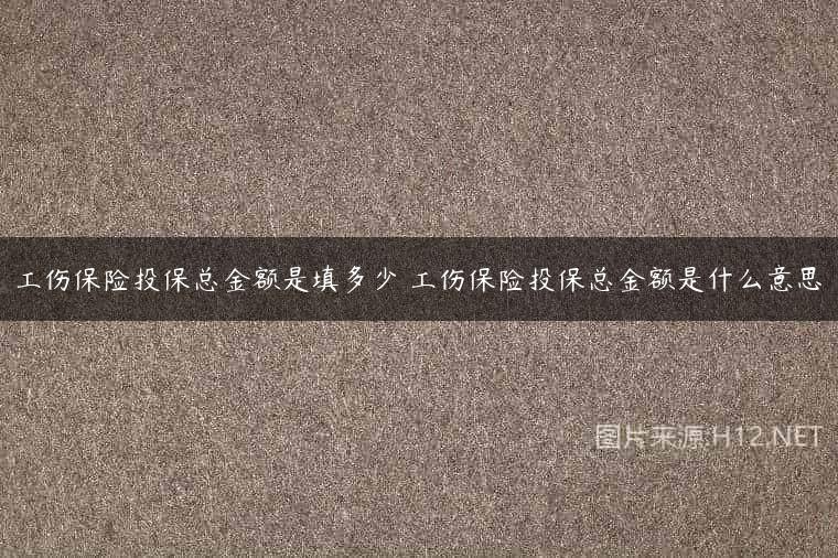 工伤保险投保总金额是填多少 工伤保险投保总金额是什么意思