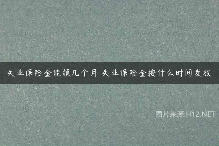 失业保险金能领几个月 失业保险金按什么时间发放