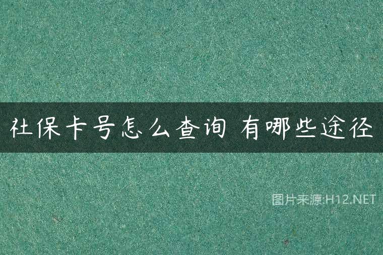 社保卡号怎么查询 有哪些途径