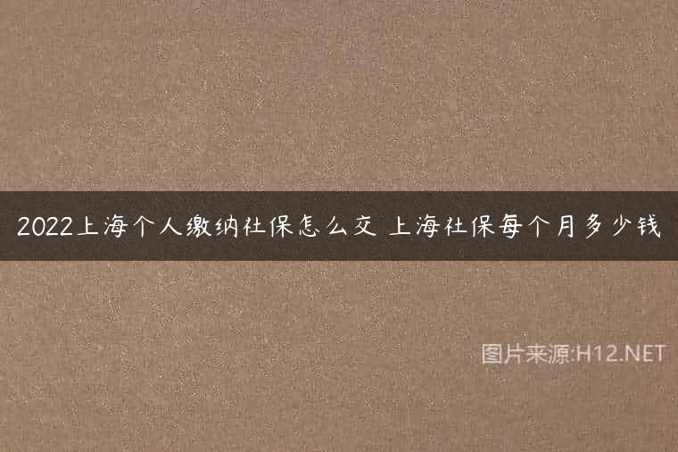 2022上海个人缴纳社保怎么交 上海社保每个月多少钱