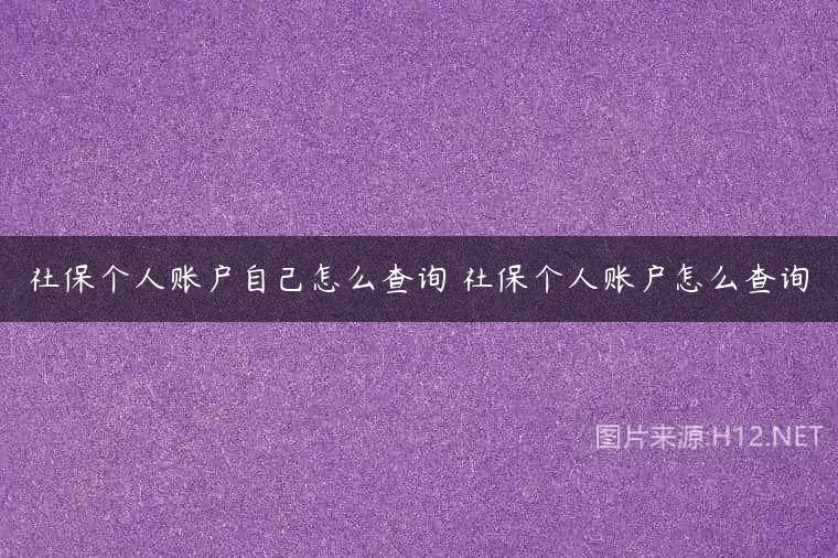 社保个人账户自己怎么查询 社保个人账户怎么查询