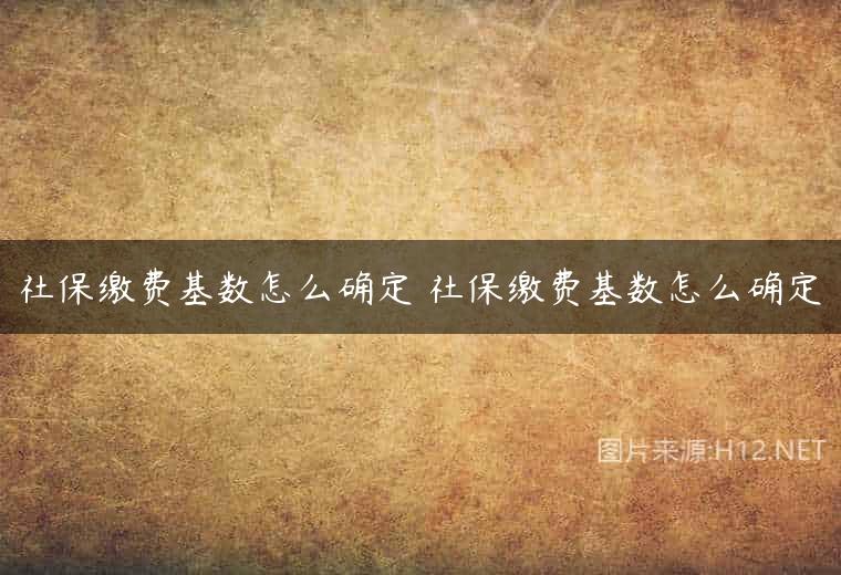 社保缴费基数怎么确定 社保缴费基数怎么确定