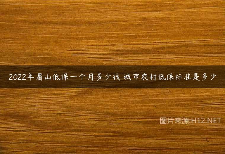 2022年眉山低保一个月多少钱 城市农村低保标准是多少
