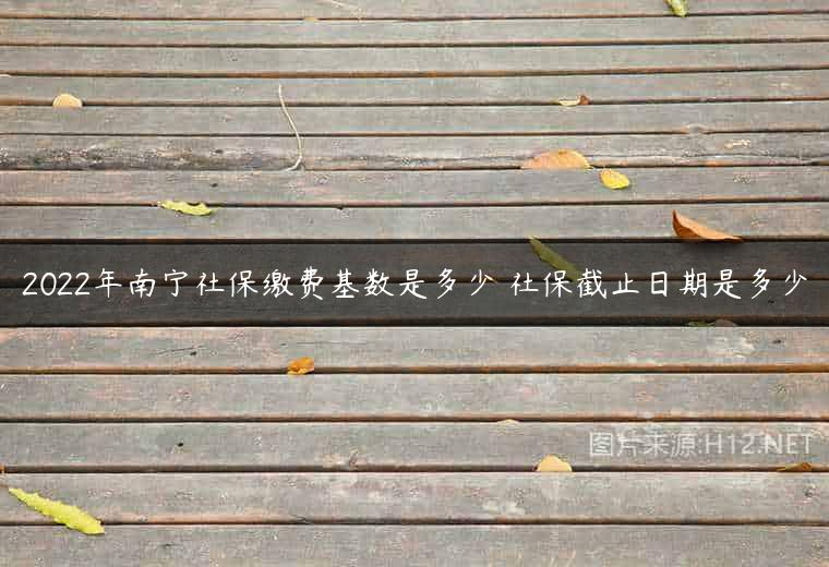 2022年南宁社保缴费基数是多少 社保截止日期是多少