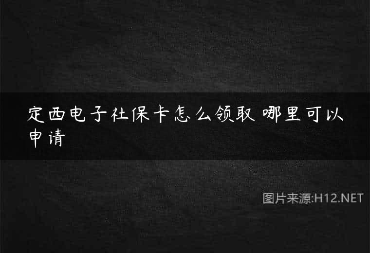 定西电子社保卡怎么领取 哪里可以申请