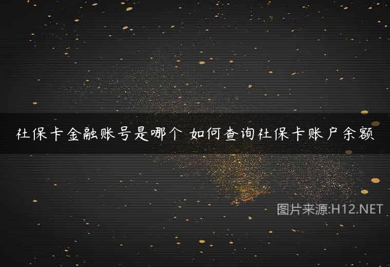 社保卡金融账号是哪个 如何查询社保卡账户余额