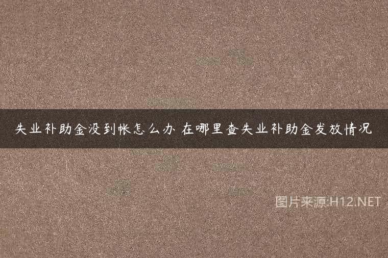 失业补助金没到帐怎么办 在哪里查失业补助金发放情况