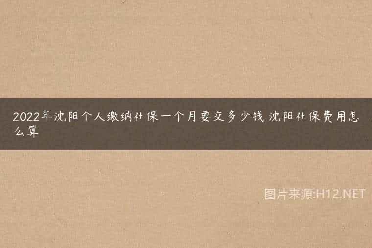 2022年沈阳个人缴纳社保一个月要交多少钱 沈阳社保费用怎么算