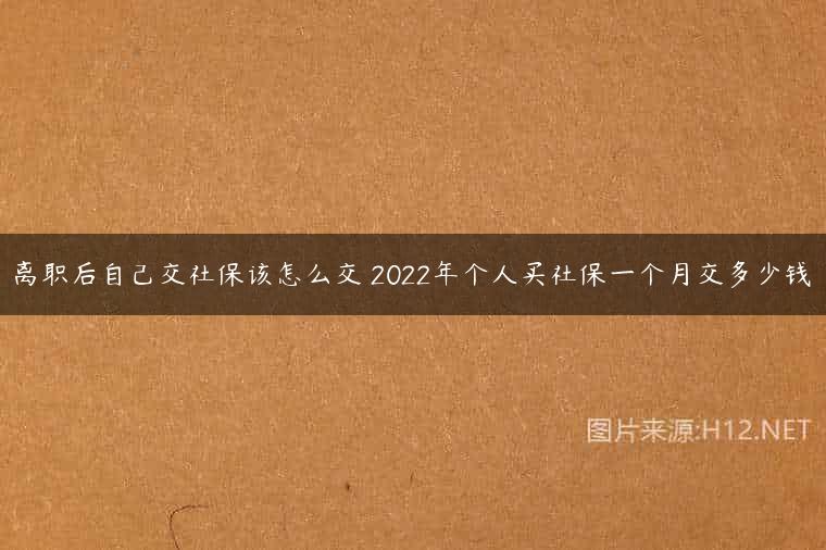 离职后自己交社保该怎么交 2022年个人买社保一个月交多少钱