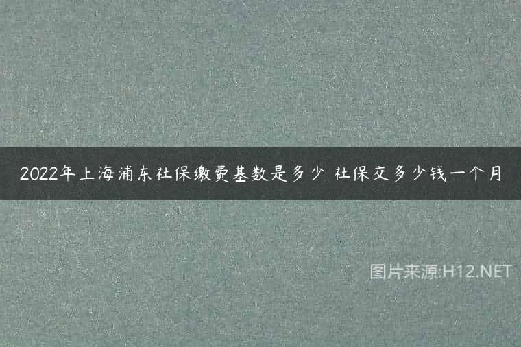 2022年上海浦东社保缴费基数是多少 社保交多少钱一个月