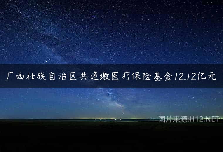广西壮族自治区共追缴医疗保险基金12.12亿元