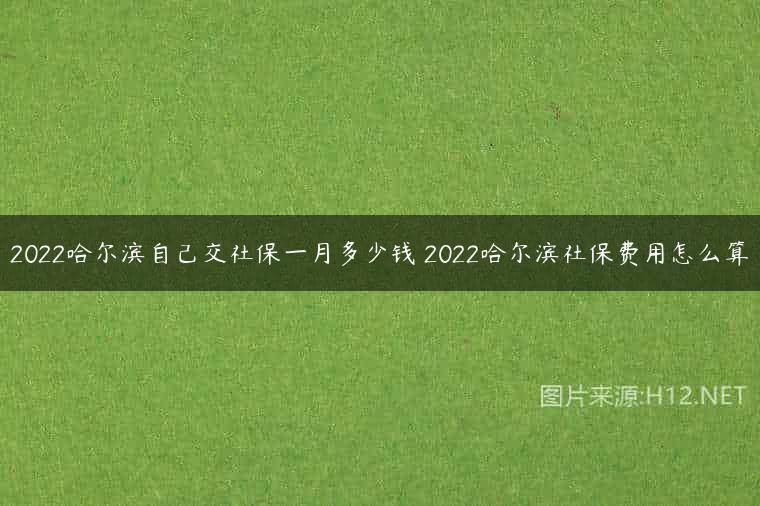 2022哈尔滨自己交社保一月多少钱 2022哈尔滨社保费用怎么算