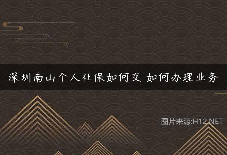 深圳南山个人社保如何交 如何办理业务