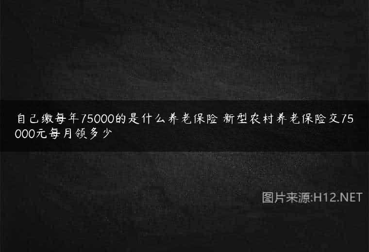 自己缴每年75000的是什么养老保险 新型农村养老保险交75000元每月领多少