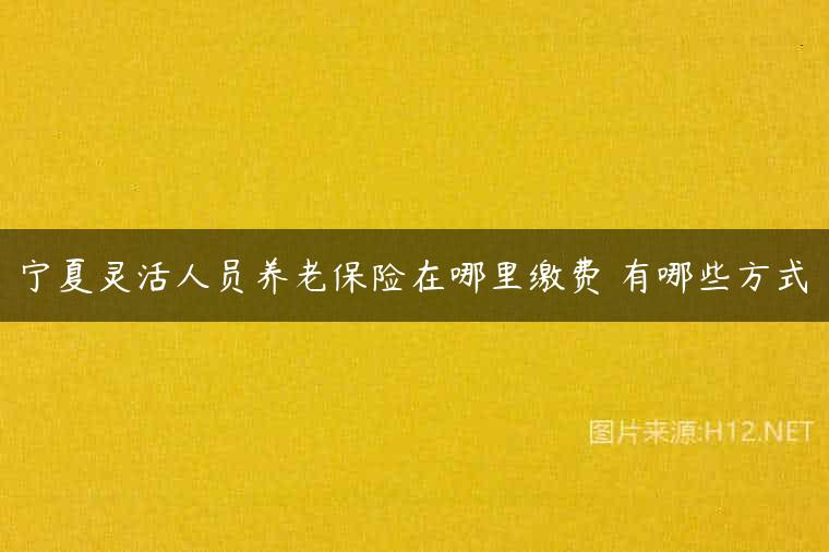 宁夏灵活人员养老保险在哪里缴费 有哪些方式