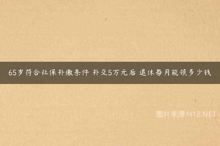 65岁符合社保补缴条件 补交5万元后 退休每月能领多少钱