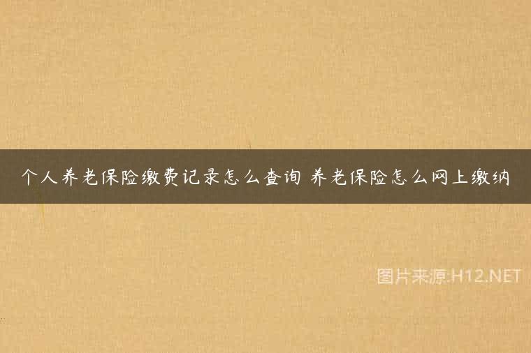 个人养老保险缴费记录怎么查询 养老保险怎么网上缴纳