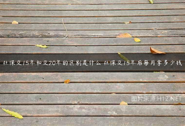 社保交15年和交20年的区别是什么 社保交15年后每月拿多少钱