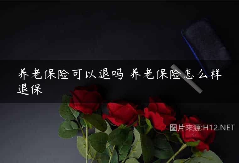 养老保险可以退吗 养老保险怎么样退保