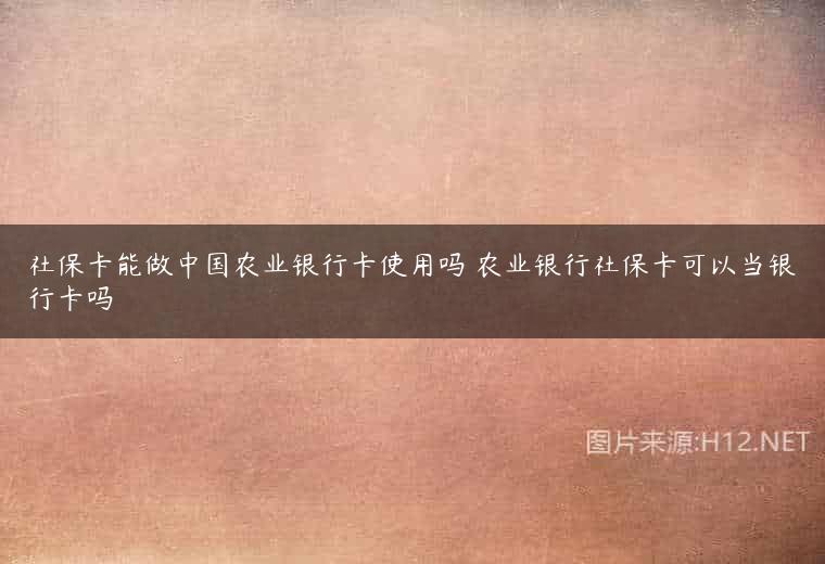 社保卡能做中国农业银行卡使用吗 农业银行社保卡可以当银行卡吗