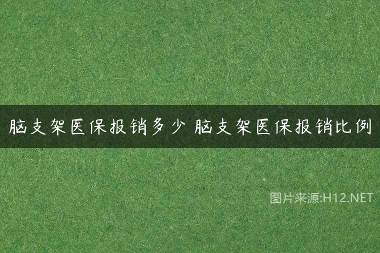 脑支架医保报销多少 脑支架医保报销比例