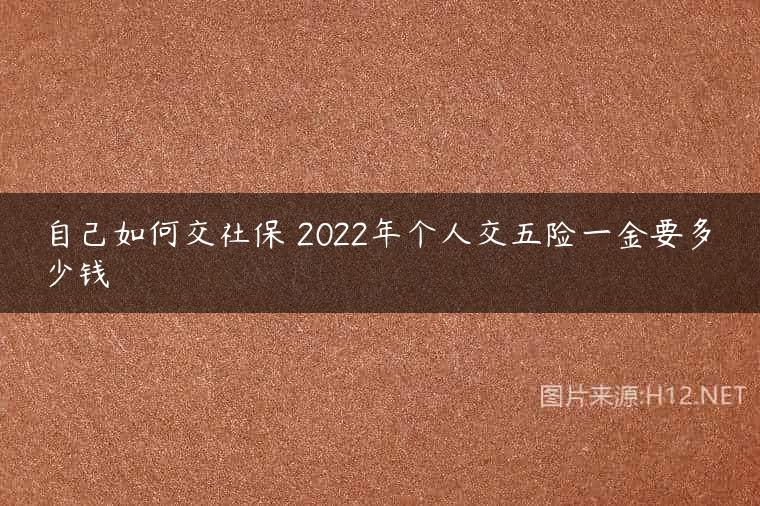 自己如何交社保 2022年个人交五险一金要多少钱