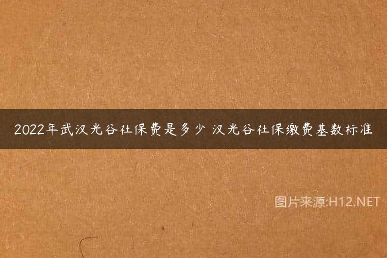 2022年武汉光谷社保费是多少 汉光谷社保缴费基数标准