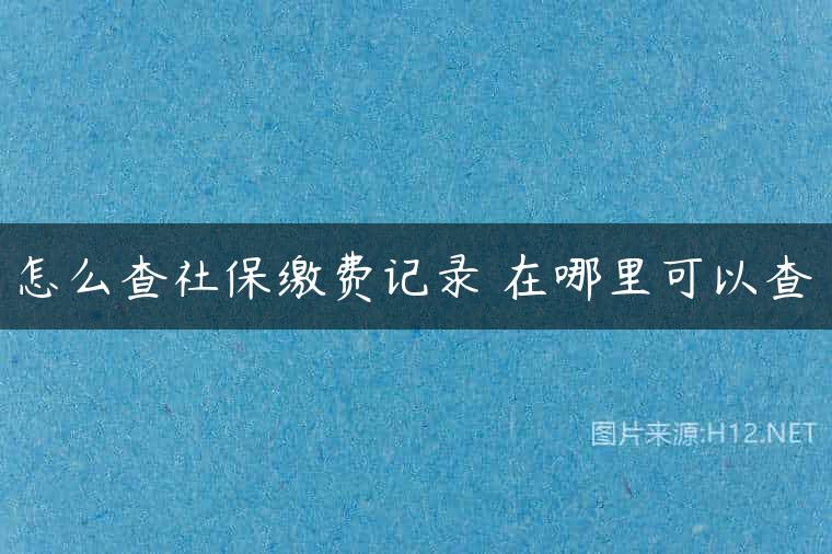 怎么查社保缴费记录 在哪里可以查