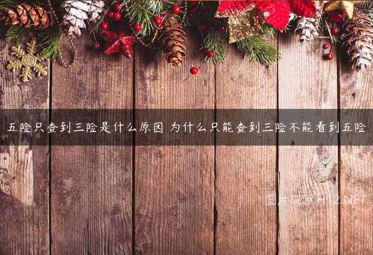 五险只查到三险是什么原因 为什么只能查到三险不能看到五险