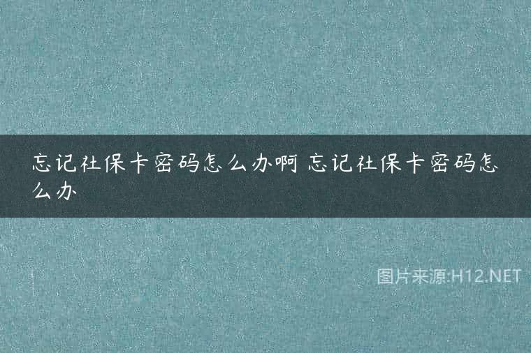 忘记社保卡密码怎么办啊 忘记社保卡密码怎么办