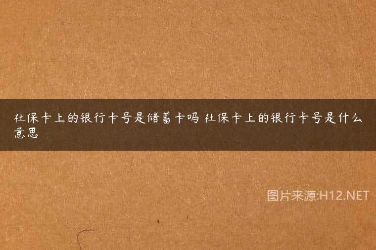 社保卡上的银行卡号是储蓄卡吗 社保卡上的银行卡号是什么意思