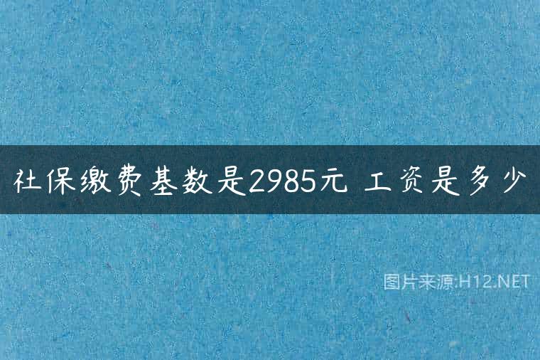社保缴费基数是2985元 工资是多少