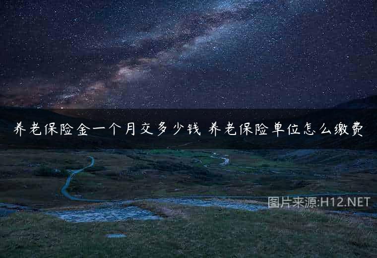 养老保险金一个月交多少钱 养老保险单位怎么缴费