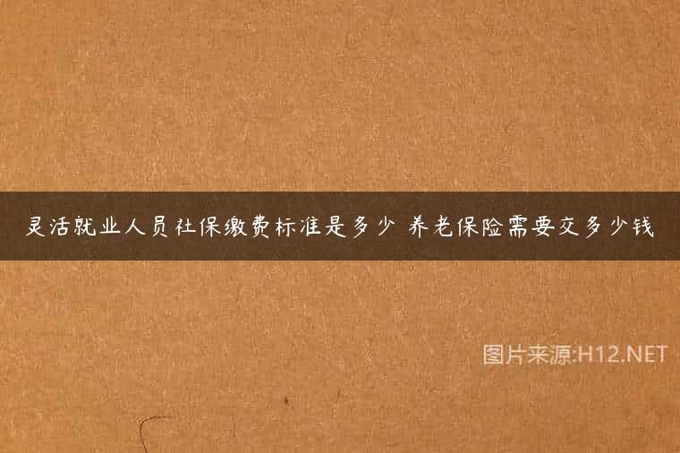 灵活就业人员社保缴费标准是多少 养老保险需要交多少钱